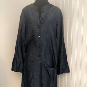 NWT Trendy Threads Denim Dress